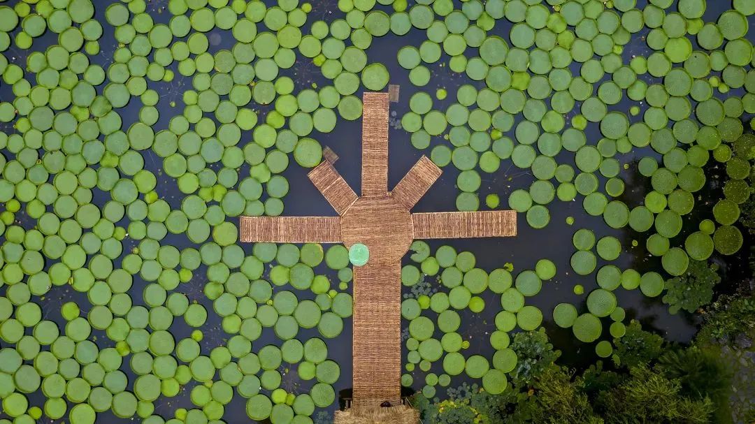 云南省文化和旅游厅