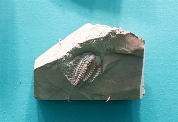 云南省文化和旅游厅