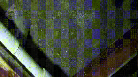 8099999街头巷尾微信