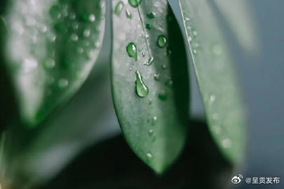 中医从3个方面判断是否有湿气