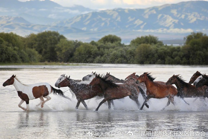 昆明经济技术开发区管委会