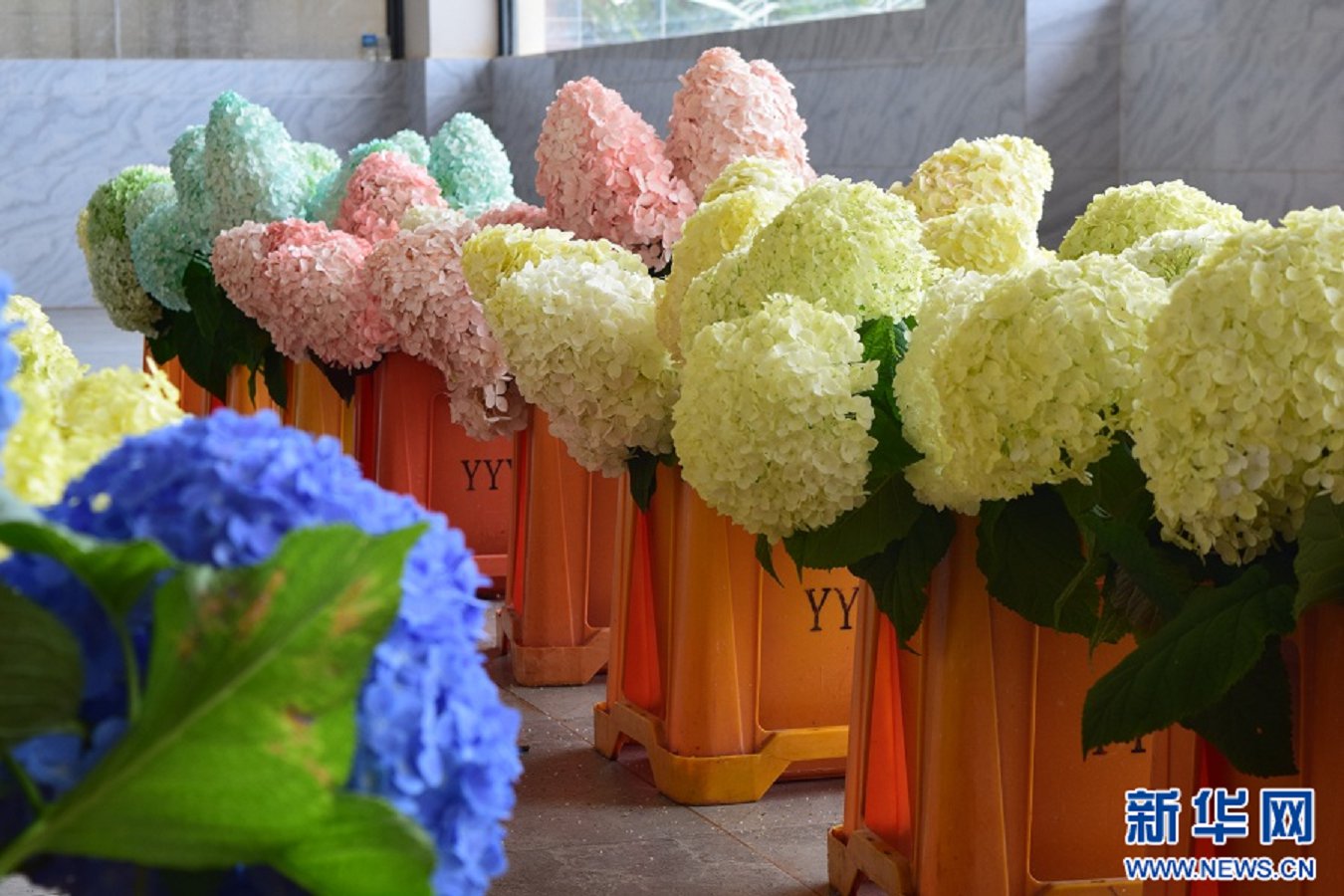 云南省文化和旅游厅