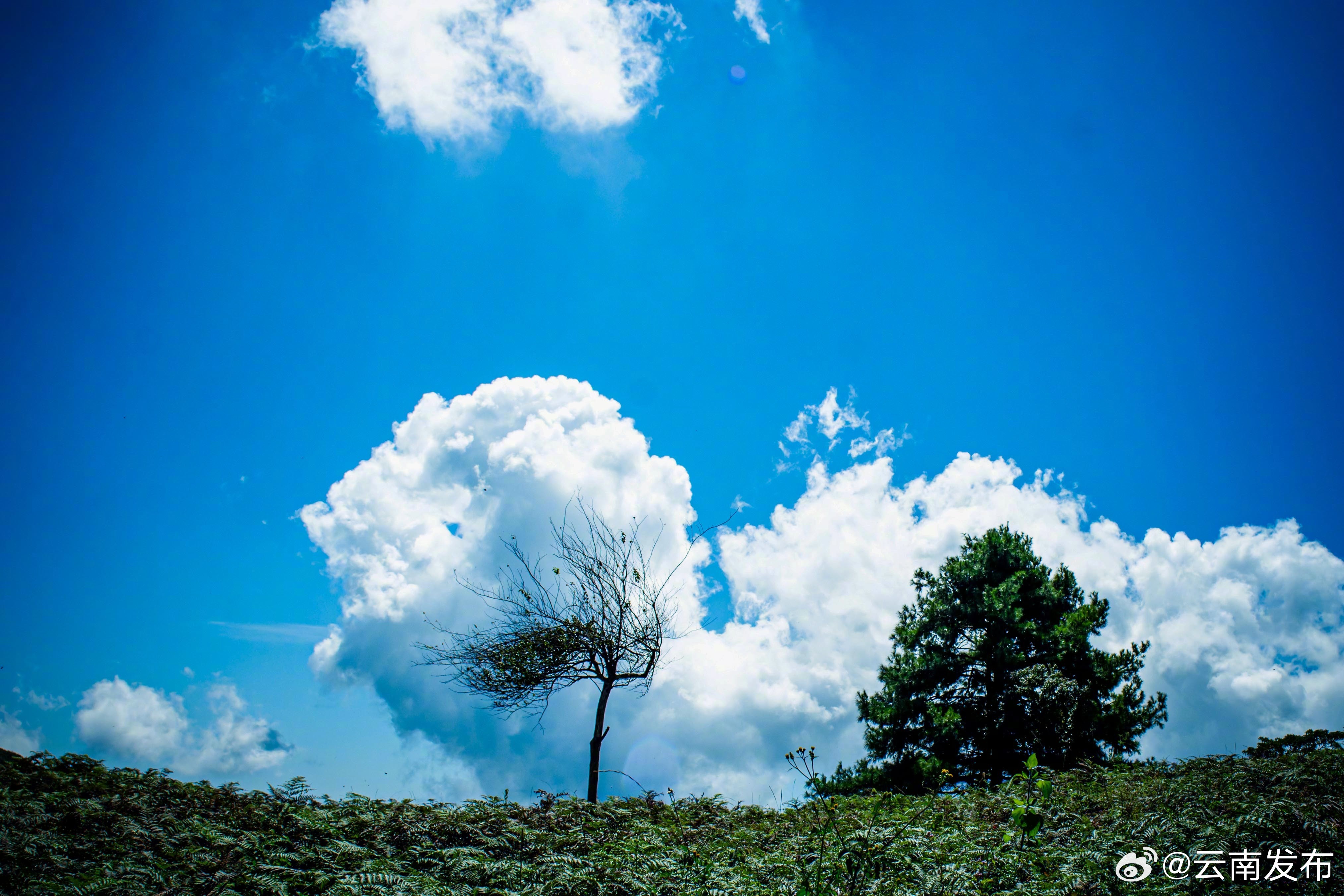 云南发布