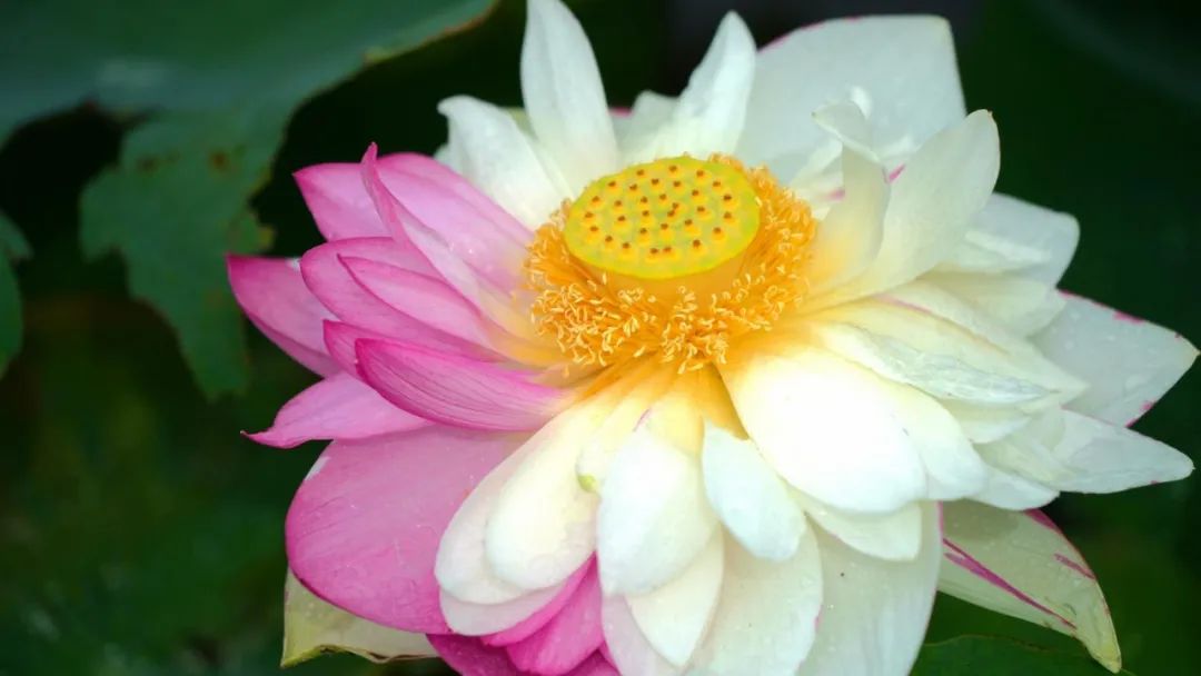 云南省文化和旅游厅