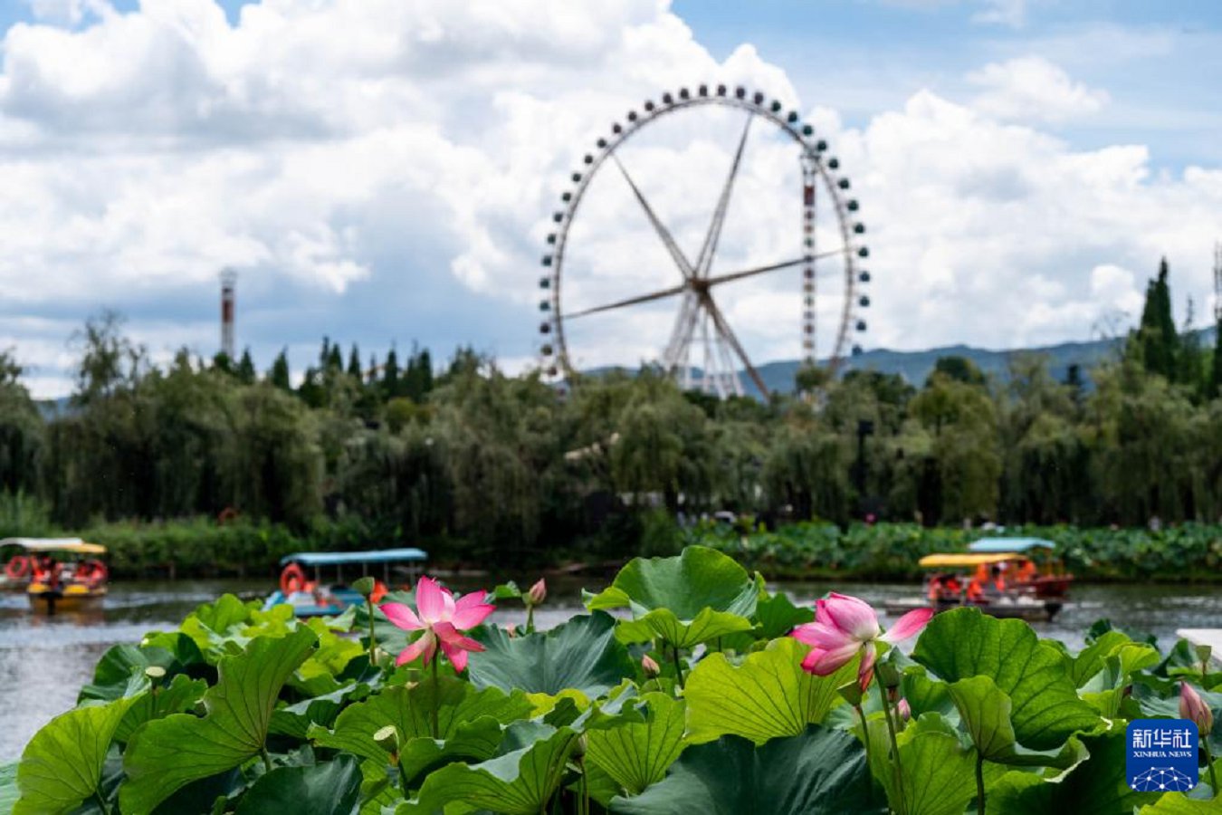 云南省文化和旅游厅