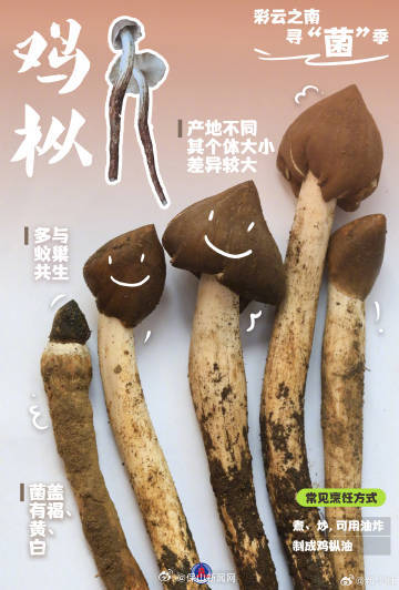 保山新闻网