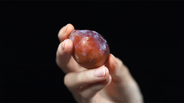 西梅是被列入医嘱的通便食物 