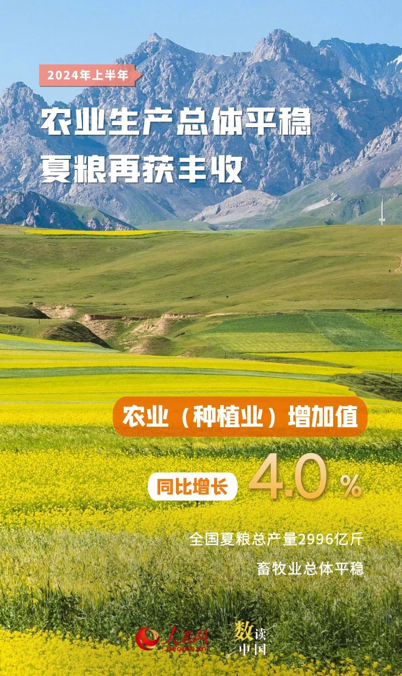 人民网