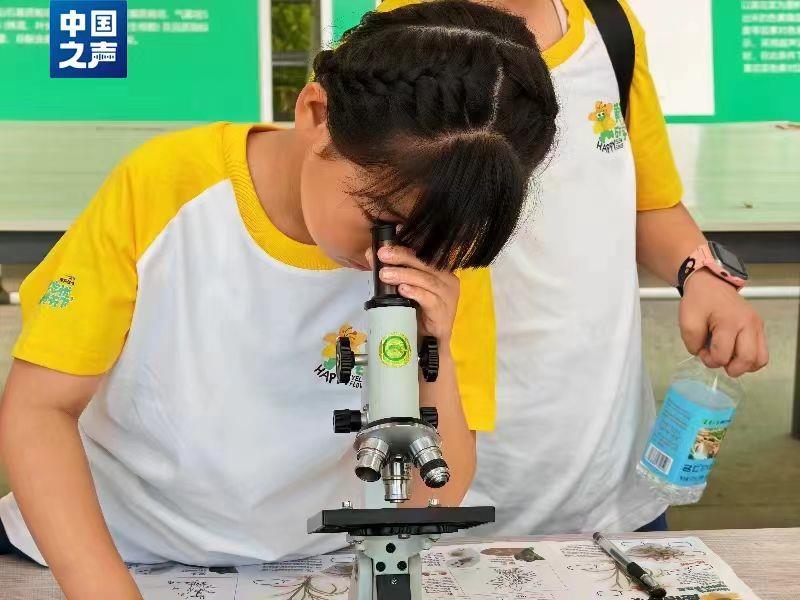 云南省文化和旅游厅