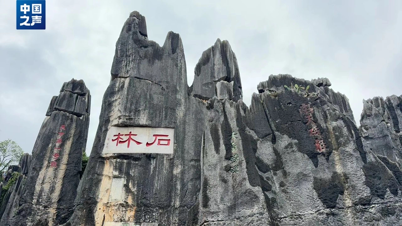 云南省文化和旅游厅