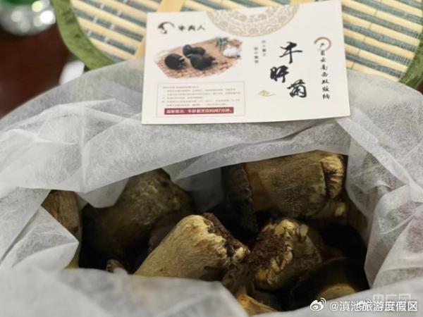 滇池旅游度假区