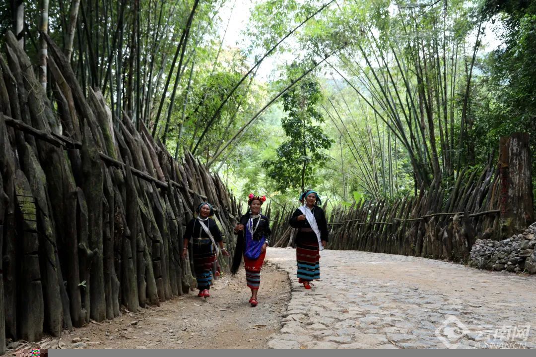 云南省文化和旅游厅