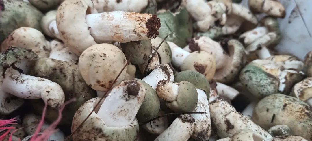 晋宁诗意的栖居地