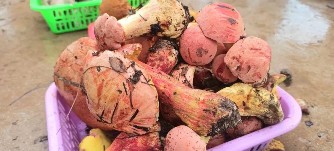 晋宁诗意的栖居地