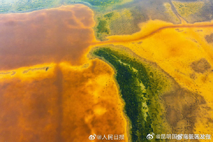 昆明国家高新区发布