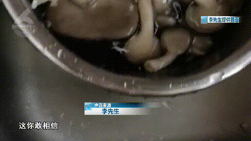 8099999街头巷尾微信