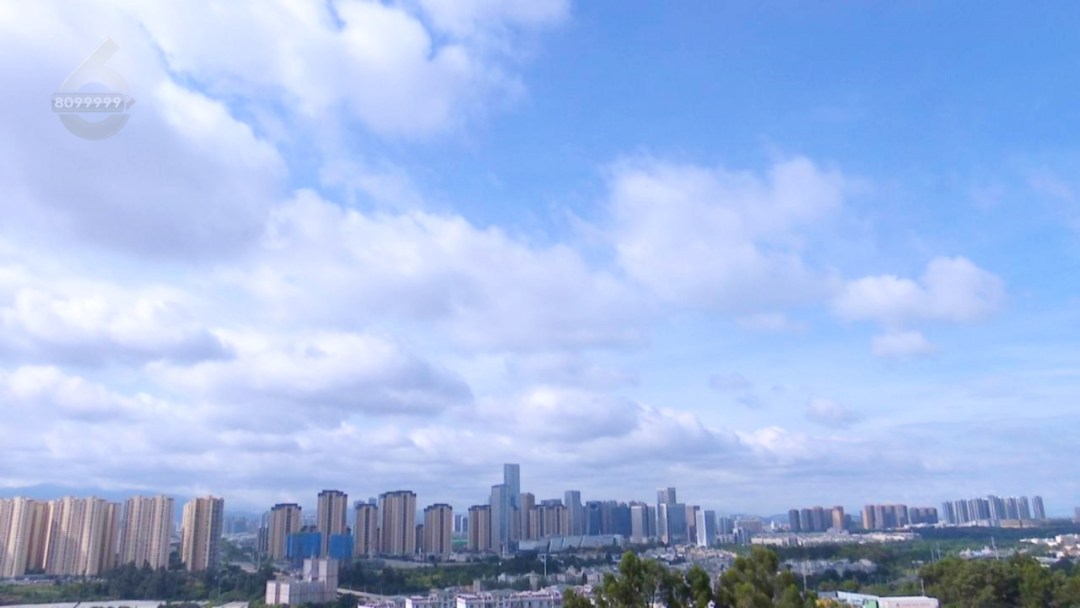 8099999街头巷尾微信