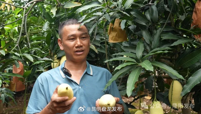 昆明盘龙发布