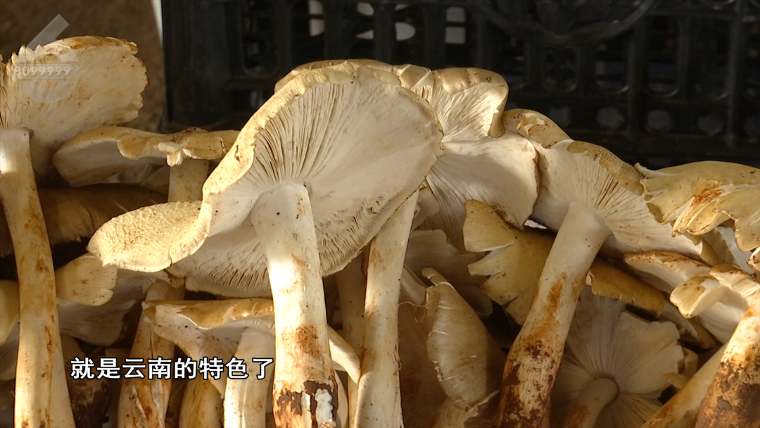 8099999街头巷尾微信