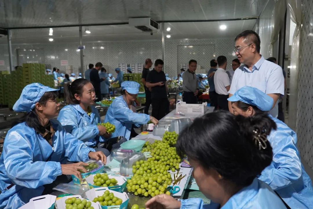 清廉大理建设行动 | 宾川从个性监督中凝练共性监督经验  护航水果特色产业发展