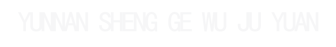 演艺昆明