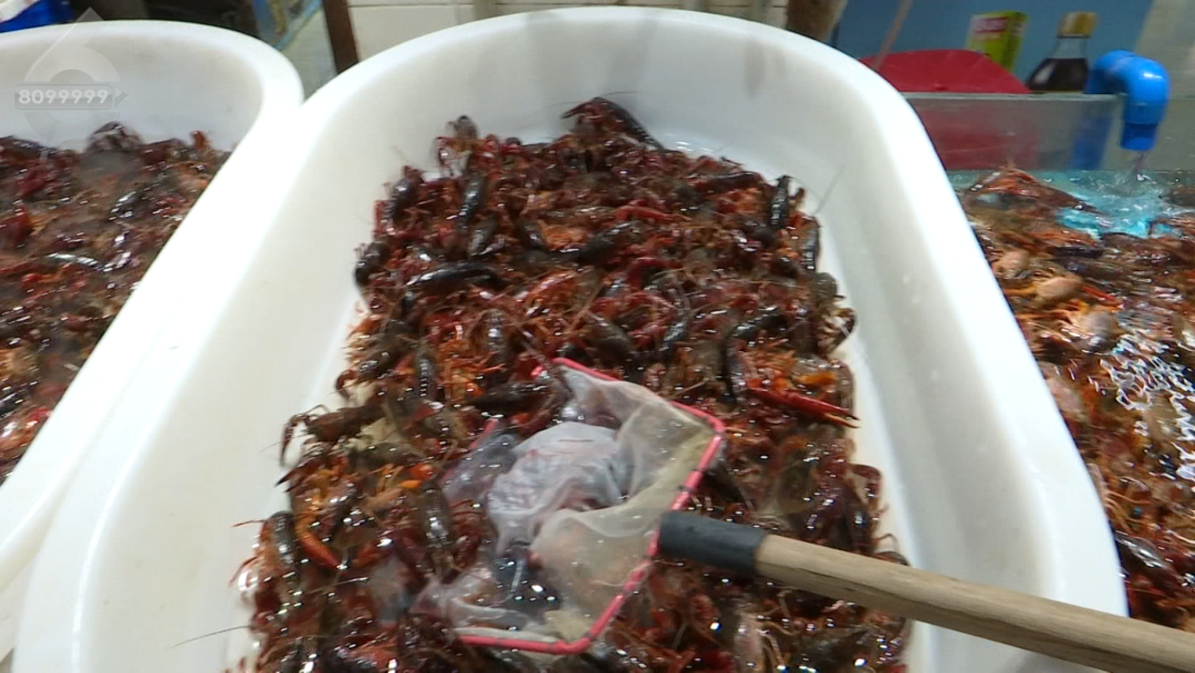 8099999街头巷尾微信