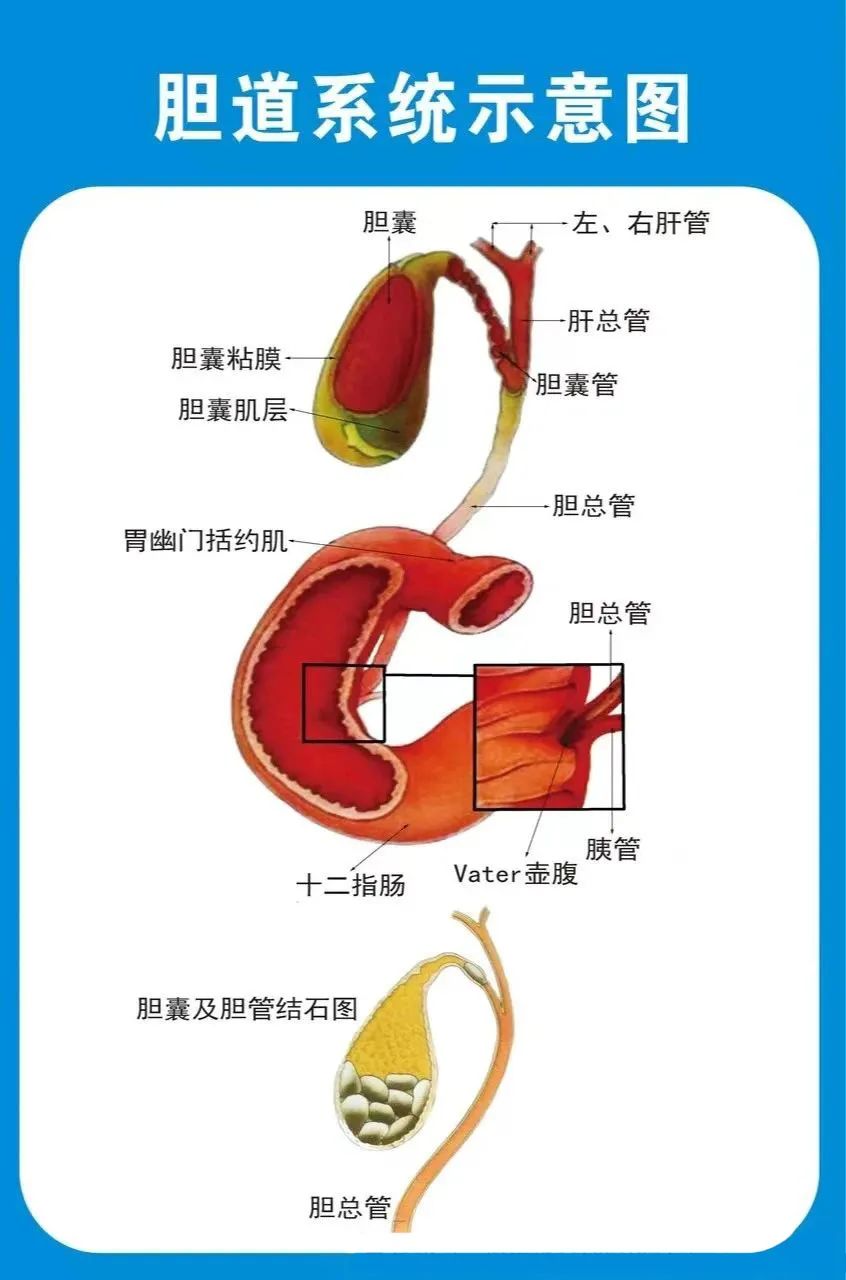 云南省保山市人民医院