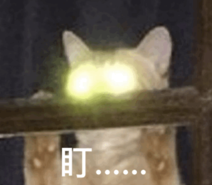 8099999街头巷尾微信