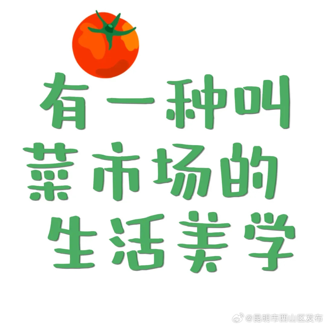 昆明市西山区发布