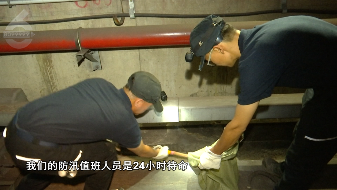 8099999街头巷尾微信