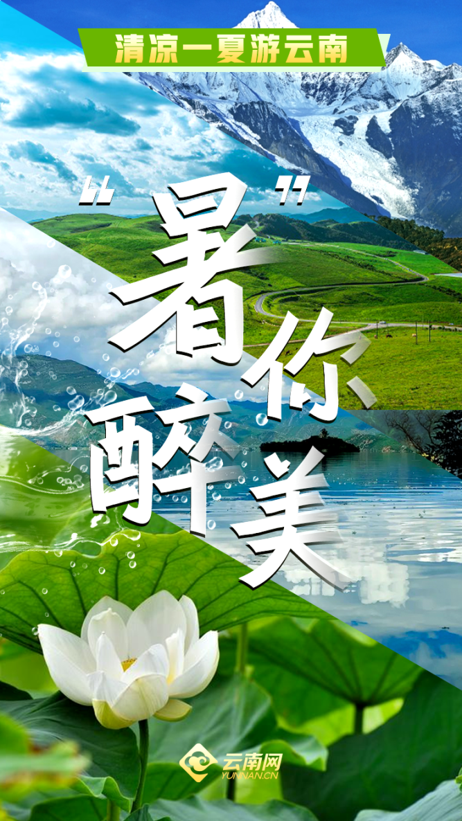 云南省文化和旅游厅