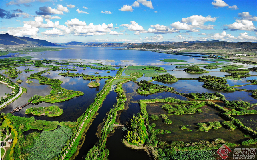 云南省文化和旅游厅
