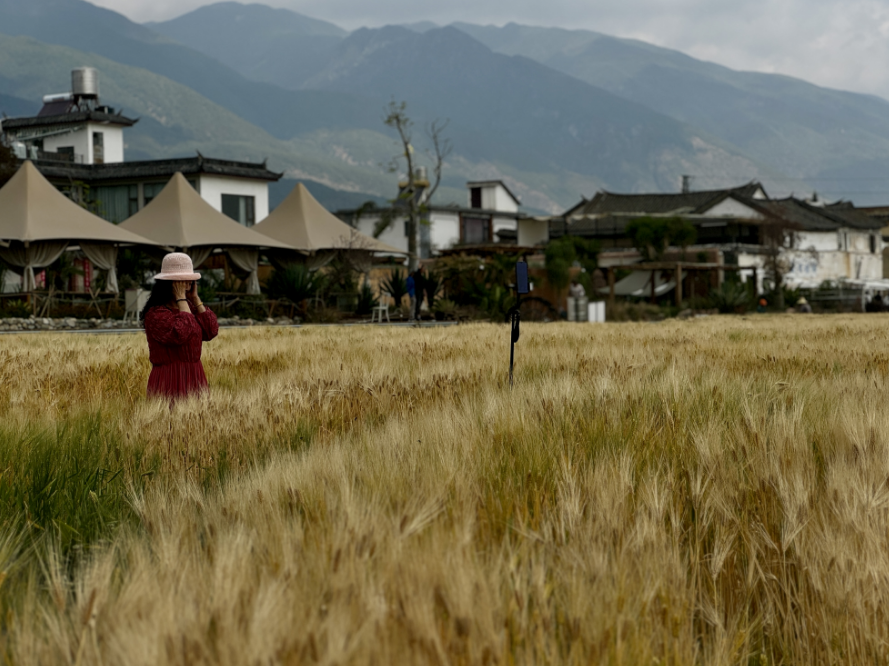 云南省文化和旅游厅
