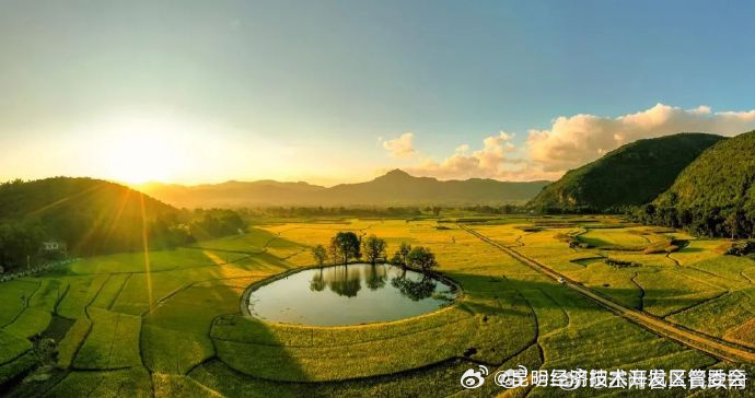 有政策、有补贴！昆明国家级经济技术开发区全面实施三大粮食作物完全成本保险和种植收入保险政策