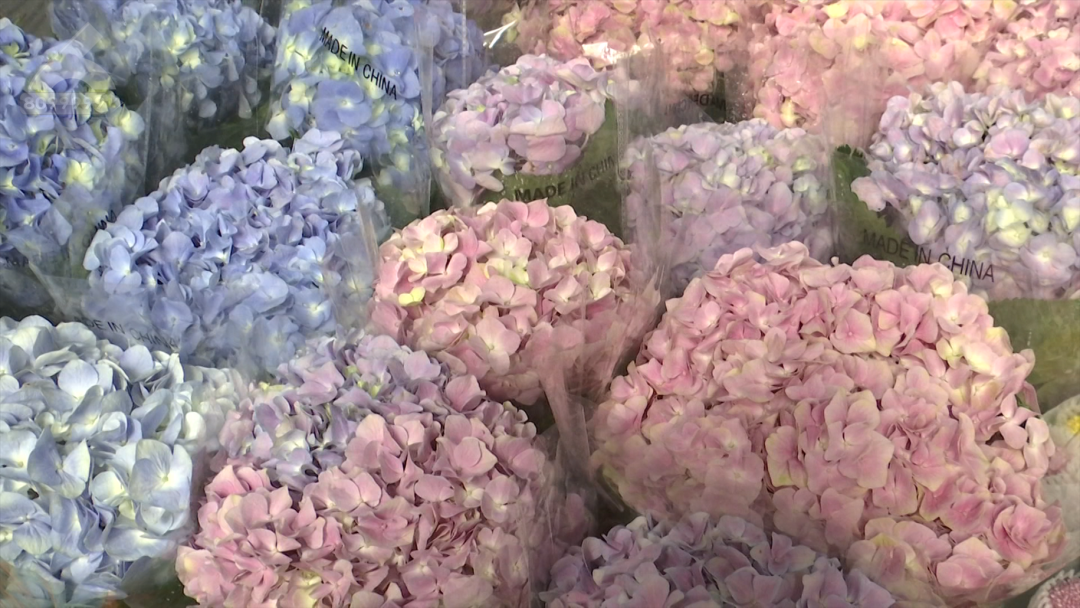 8099999街头巷尾微信