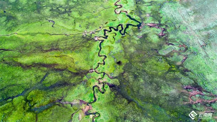 云南省文化和旅游厅