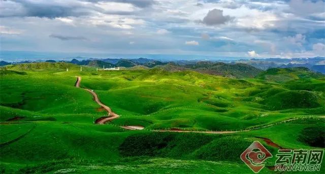 云南省文化和旅游厅