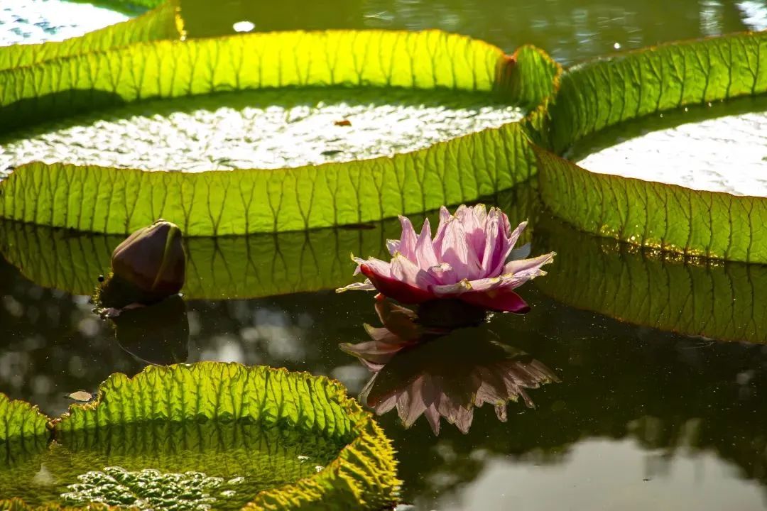 云南省文化和旅游厅