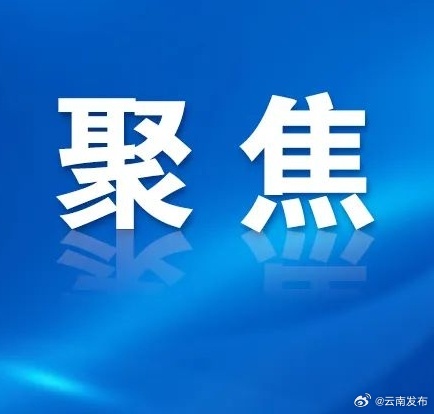 500余名各国采购商组团逛展进行供需精准对接