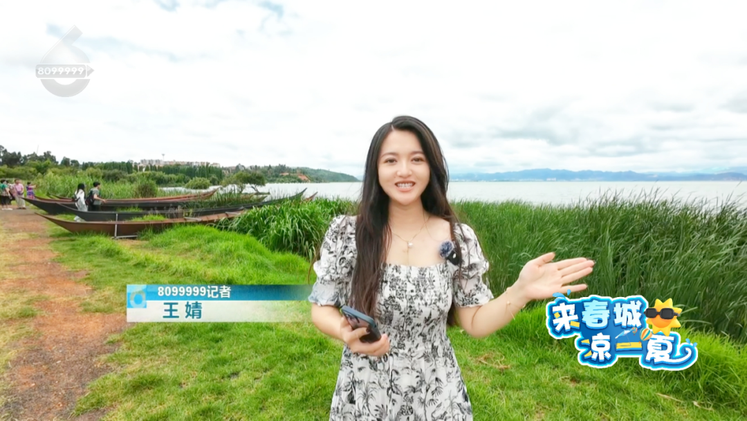 8099999街头巷尾微信