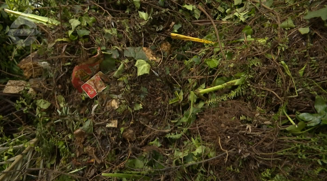 8099999街头巷尾微信