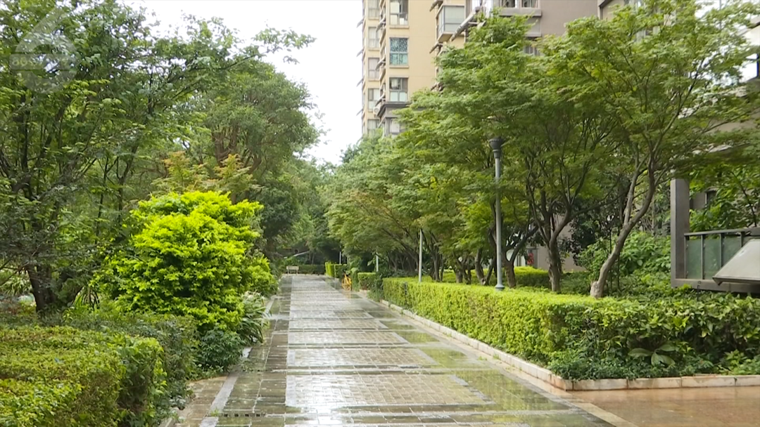 8099999街头巷尾微信