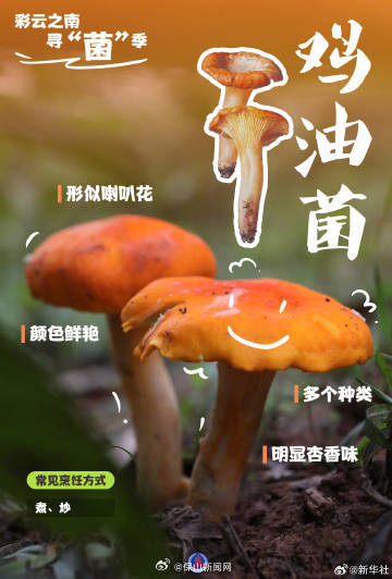 保山新闻网