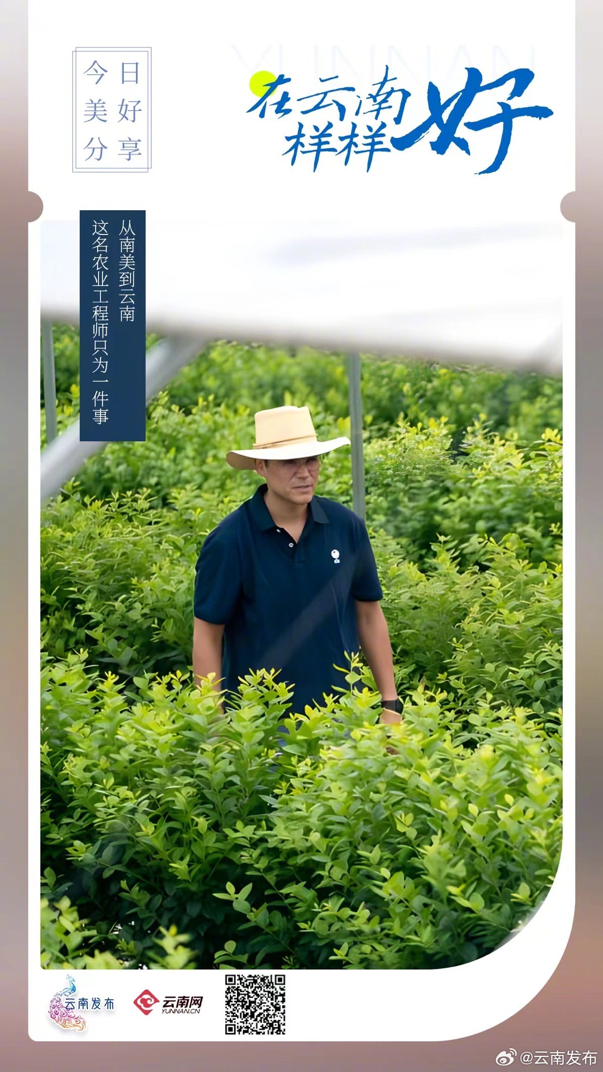 从南美到云南，这名农业工程师只为一件事