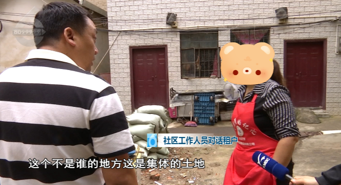 8099999街头巷尾微信