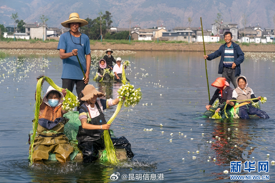 昆明信息港微博