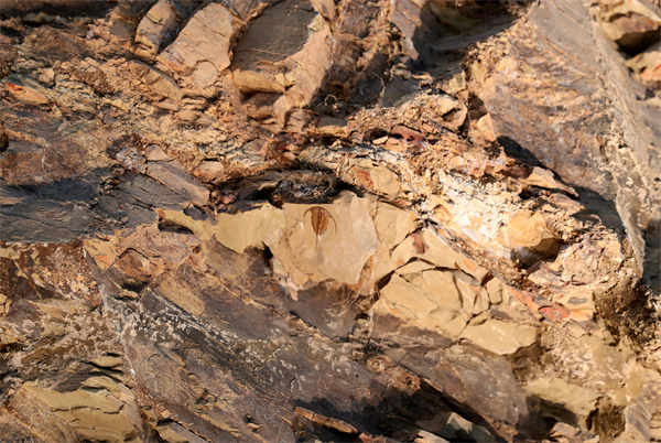 云南省文化和旅游厅