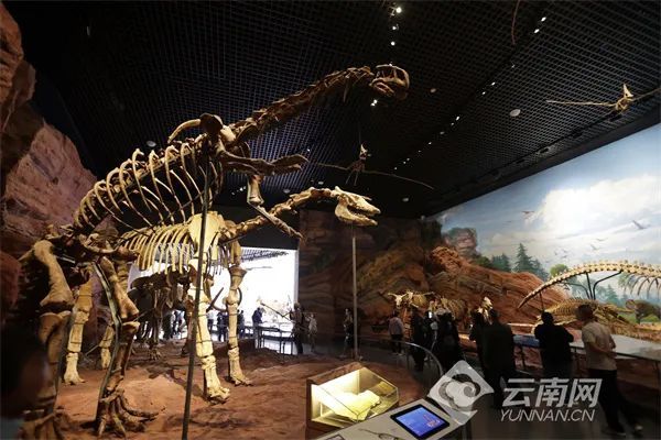 云南省文化和旅游厅