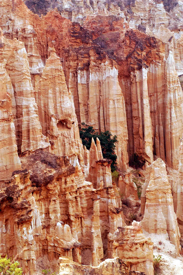 云南省文化和旅游厅