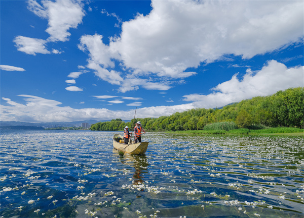 云南省文化和旅游厅